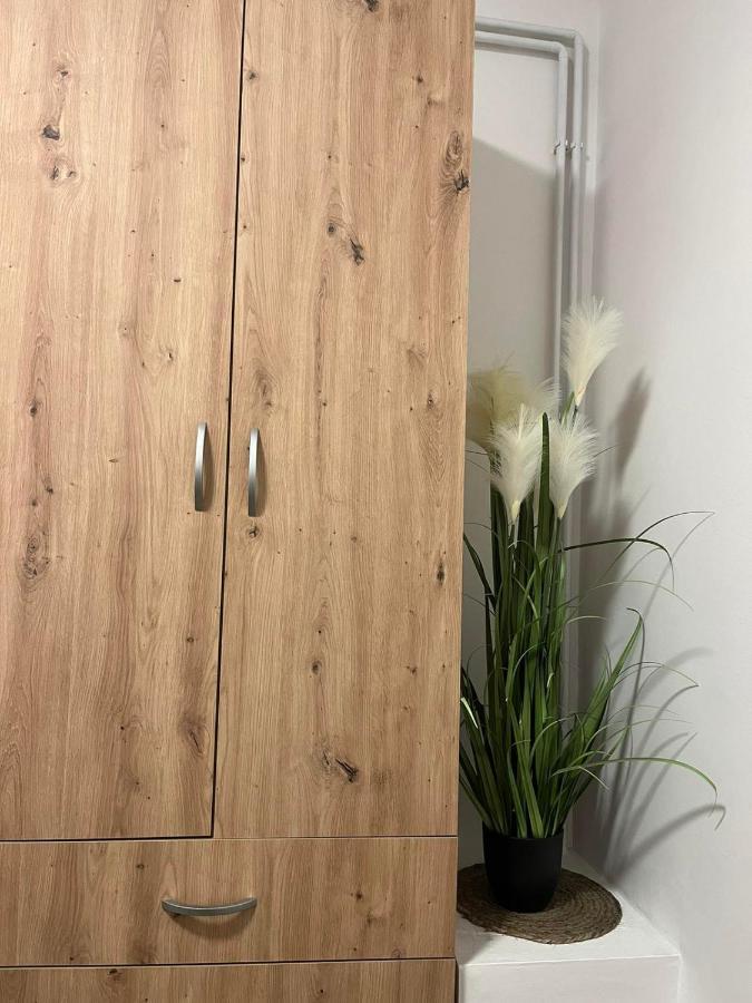 סובוטיקה Alfa Apartmani מראה חיצוני תמונה